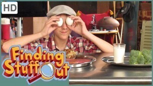 'Finding Stuff Out- \"Food & Nutrition\" Season 2, Episode 2 (FULL EPISODE)'