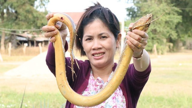 'Cooking Eel Soup Delicious Recipe -  Eel Soup Cooking -  Cooking With Khmer Food TV'