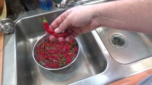 'Simple DIY Food Dehydrator for Preserving Peppers'