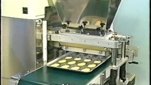 'FOULHOUX BAKERY AND FOOD INC AR 52 JAPANESE COOKIE DEPOSITOR'