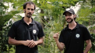 'AGROFORESTRY ACADEMY WEEK VIDEO 2 | FREE FOOD FOREST COURSE | NO CATCH JUST LOVE TO SHARE'