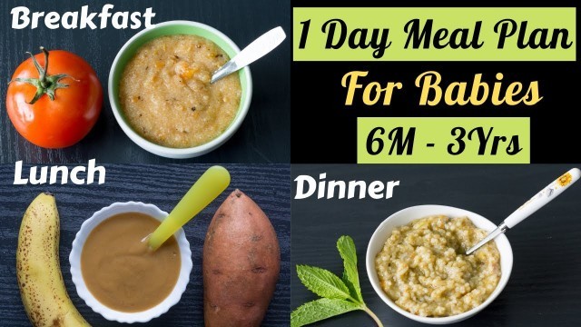 '1 Day Meal Plan for 6M-3Yr Babies | 3 Healthy Homemade Baby Food Recipes | Breakfast, Lunch, Dinner'