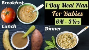 '1 Day Meal Plan for 6M-3Yr Babies | 3 Healthy Homemade Baby Food Recipes | Breakfast, Lunch, Dinner'