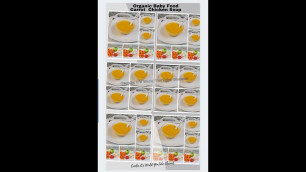 'Baby Food - Carrot  Chicken Soup Organic Puree For Babies 6 months Old Up