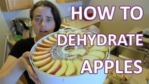 'Dehydrating Apples - Quick and Easy Snack Idea!'