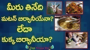 'Dog Meat Mixed With Biryani | Food Inspectors Collecting Samples In Shah Ghouse | Top Telugu One'