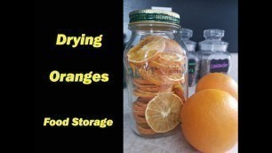 'Dehydrating Orange Slices ~ Food Storage'