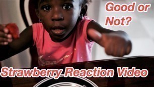 'Strawberry Reaction Video ( Kids React To Food)'