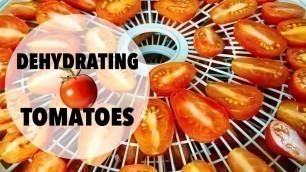 'How To Easily Dehydrate Cherry Tomatoes | Nesco Food Dehydrator Full Product Test And Review'