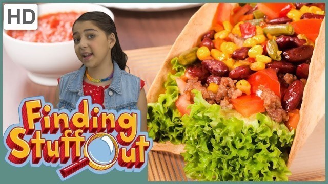 'Finding Stuff Out - \"Where Does Food Come From?\" Season 4, Episode 2 (FULL EPISODE)'