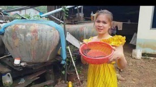 'Khmer food /  cook Soup fish with water green'