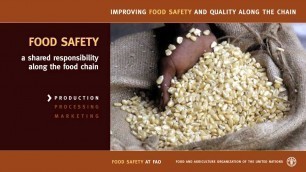 'Improving Food Safety and Quality along the chain'