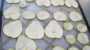 'Dehydrating Pears Fruit to make Dried Pear Chips'