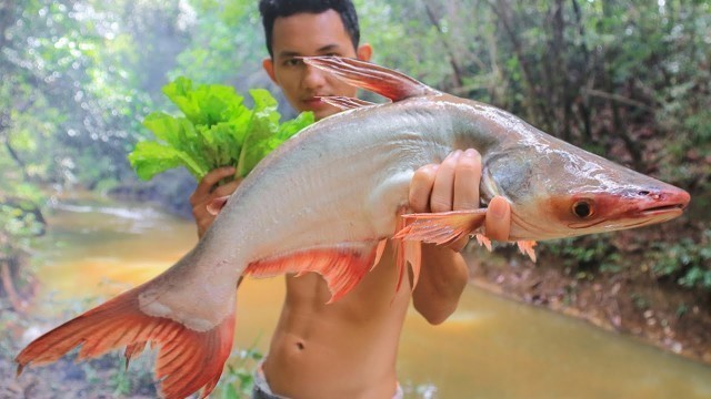 'Primitive Technology: Cooking Big Fish (Khmer Food) in the Forest'