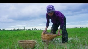 'Cooking Traditional Khmer Food Recipe in my Village - Village Cooking Channel'