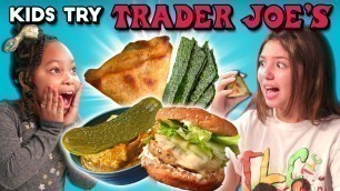 'Kids Try Trader Joe\'s Snacks (Dill Pickle Hummus, Shrimp Burger)'