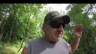 'Planting a No-till brassica food plot 3 week update'